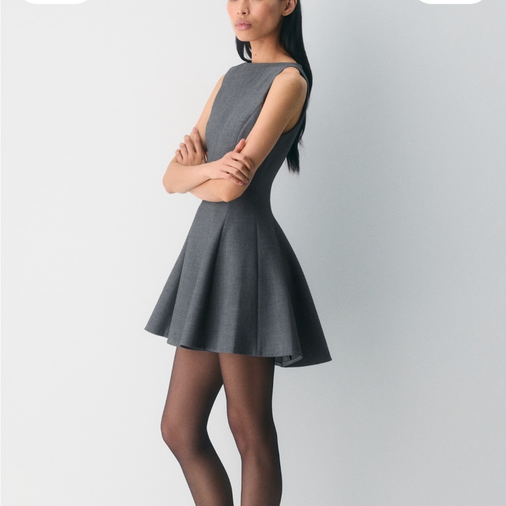 Aritzia Babaton Proxy Dress